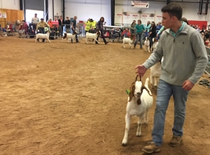 Coleman Berry with the Senior Class at the 2017 N.C. State Fair Meat Goat Show.