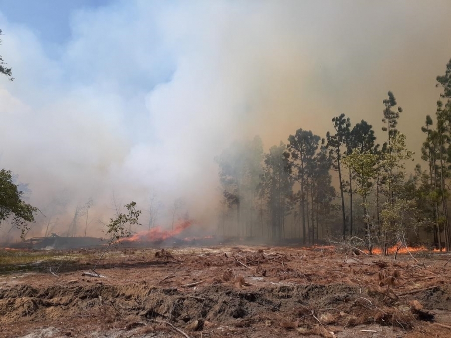 Burn ban issued across North Carolina