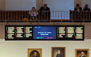 The N.C. Senate falls short of overriding Gov. Roy Cooper&#039;s veto of the Free the Smiles Act.