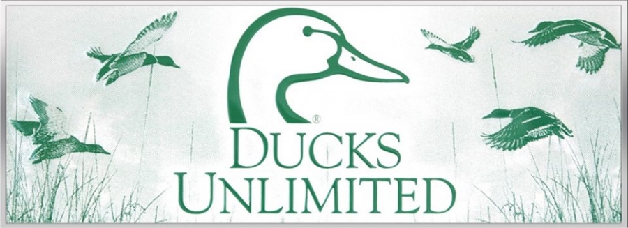 Richmond County S Ducks Unlimited Banquet, Ducks Unlimited Fire Pit