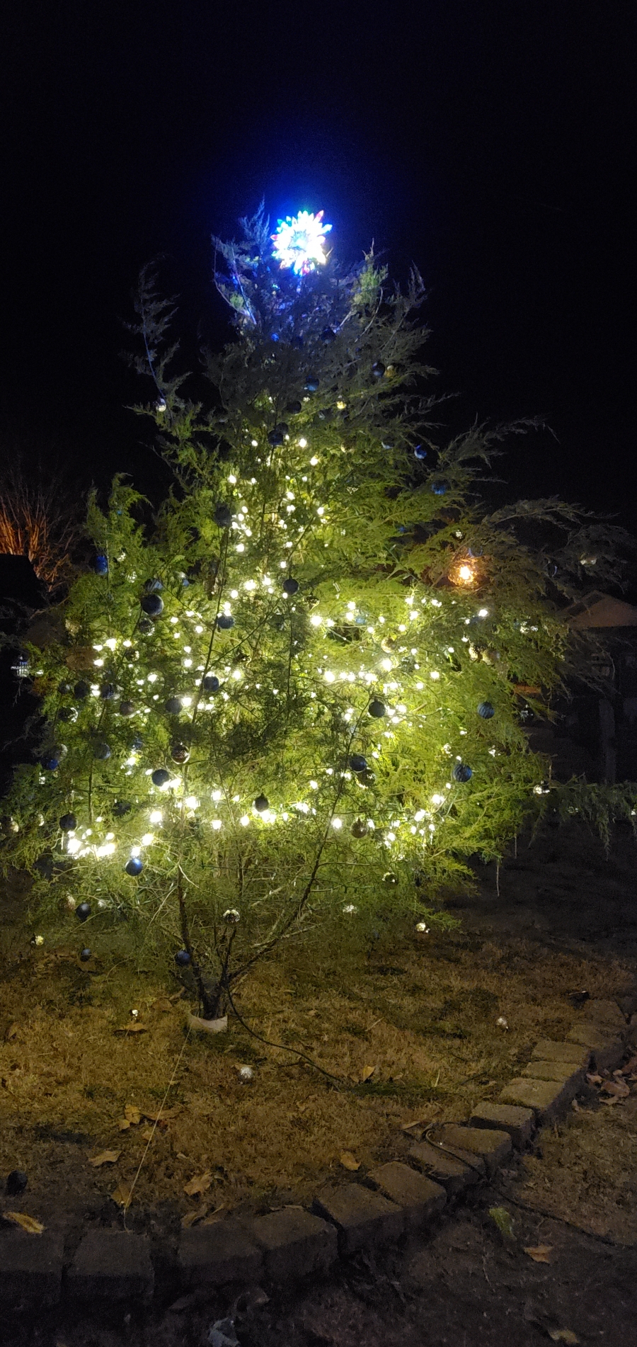 Christmas trees lit in Dobbins Heights, Hoffman, Norman