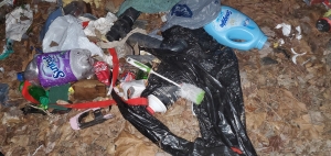 A toilet brush, drink bottles and other trash lie strewn along the ground at the Cordova Access Point of the Hitchcock Creek Blue Trail. See more photos taken Feb. 17 in a gallery below.