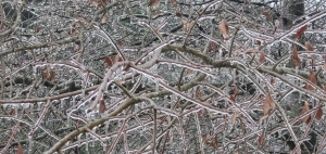 Winter storm leads to closure, cancellation in Richmond County; forecast could be drier
