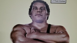 A life-sized photo of Andre the Giant stands at the Rankin Museum of American Heritage in Ellerbe, just miles from where the icon called home the last 12 years of his life.