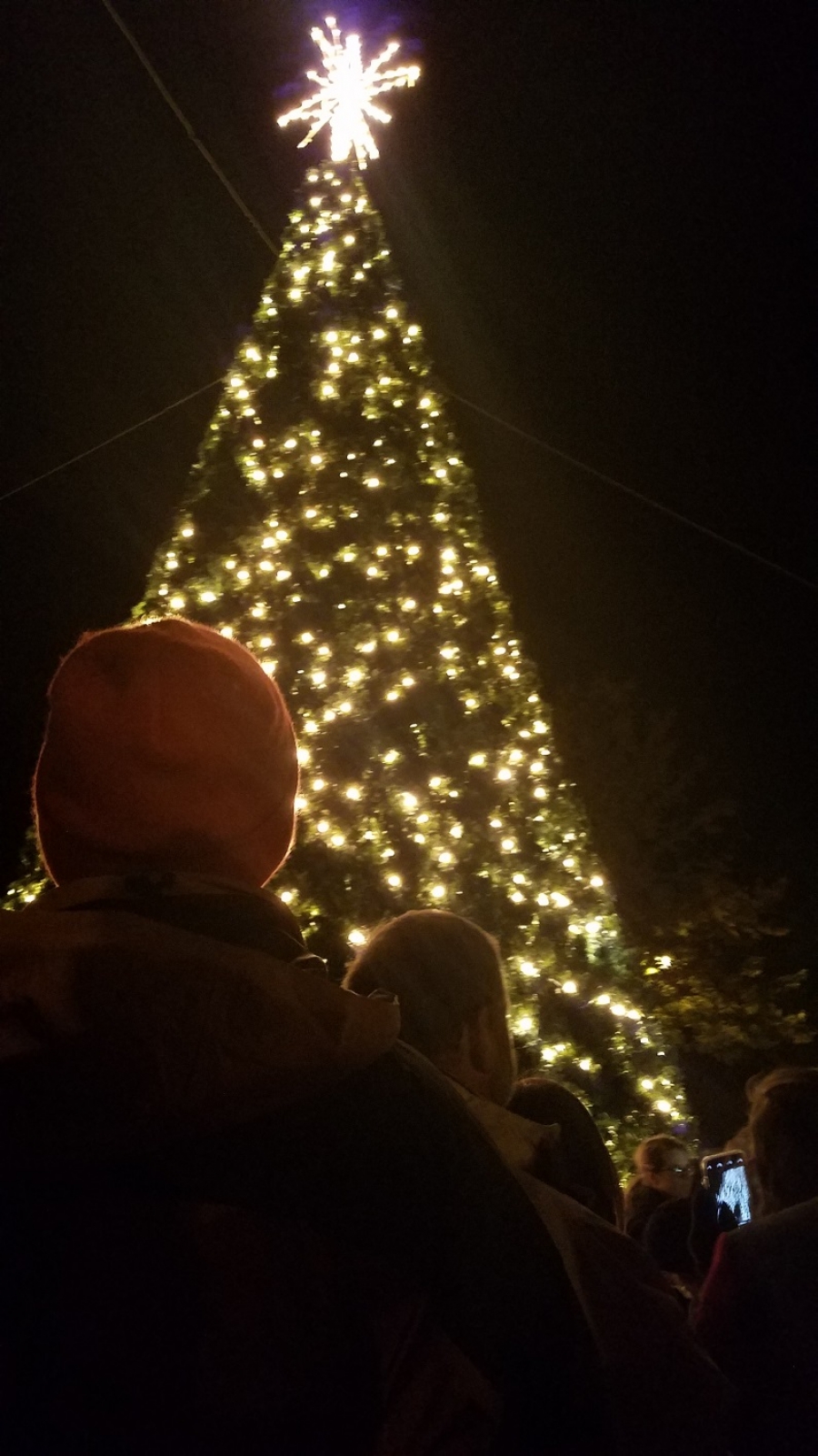 Rockingham, other towns cancel tree-lighting ceremonies