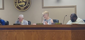 Abbie Covington, center, speaks during a recent Hamlet City Council meeting.