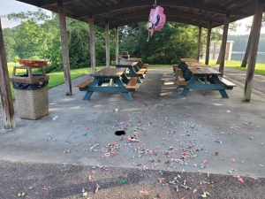 Richmond County posted this photo Wednesday of trash at Castlewood Park