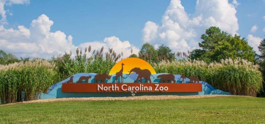 North Carolina Zoo closes Aviary to the public as precautionary measure to protect birds