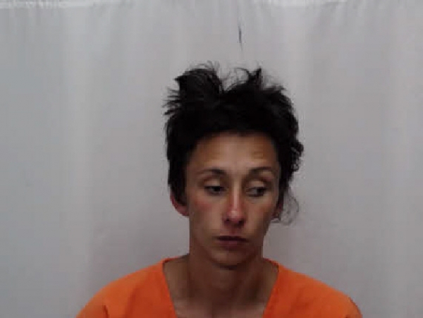 Amity woman arrested for theft, trespassing